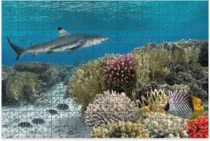 1000 Piece Jigsaw Puzzle Game, Colorful Colorful Underwater Coral Yellow Stripped Fish Big Shark Large Puzzles Artwork for Adults Teens Challenging Puzzle Game Nights Toy Gift