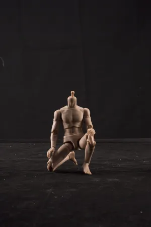 1/12 Scale Male Body,6inch Male Joint Flexible Strong Muscular Soldier Action Figure Body Collection (Suntan Skin)