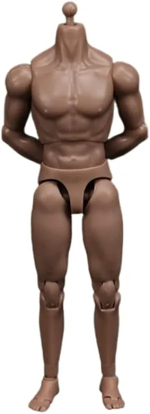 1/12 Scale Male Figure Body,6inch Standard Muscular Joint Flexible Action Figure Body Collectible (with Neck Version)