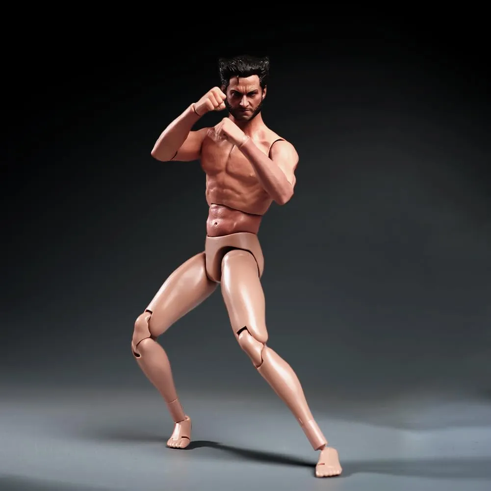 1/6 Scale Male Body,12inch Male Flexible Muscular Action Figure Wolverine Strong Figure Body Doll Collection(S002)