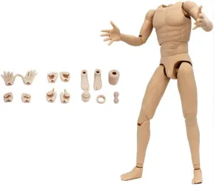1/6 Scale Male Body,Male Flexible Muscular Nude Action Figure Body Universal Neck Figure Doll Collection (Pale Skin)