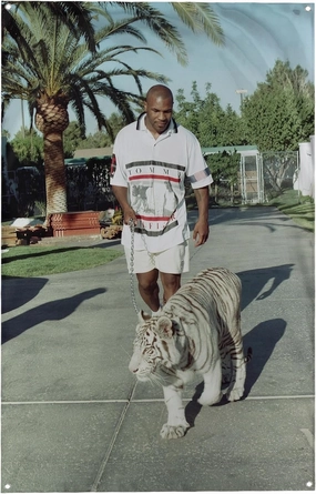 Banger - Mike Tyson Walking His Pet Tiger Funny Retro Classic Boxer Boxing Motivational Inspirational Office Gym Wall College Dorm Room Decor Design on a 3X5 Feet Flag with 4 Grommets for Easy Wall