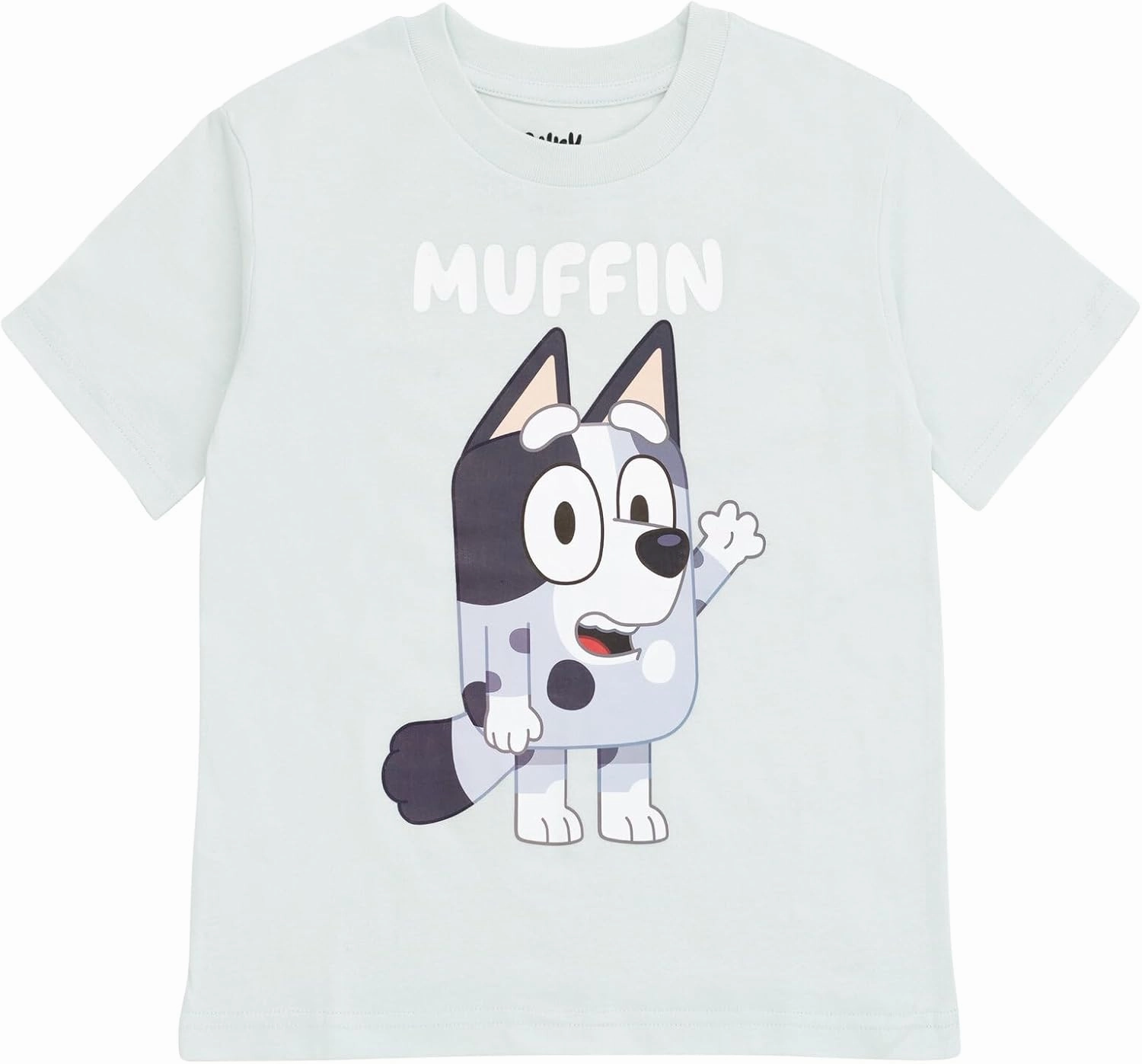 Bluey Matching Family T-Shirt Toddler to Adult Sizes (2T - 3XL)