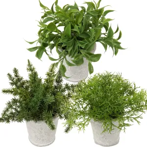 Briful Small Fake Plant Decor Artificial Potted Plants Set of 3 Faux Eucalyptus Rosemary Plants in Pots for Home Table Office Desk Bathroom Shelf Living Room Farmhouse Decoration