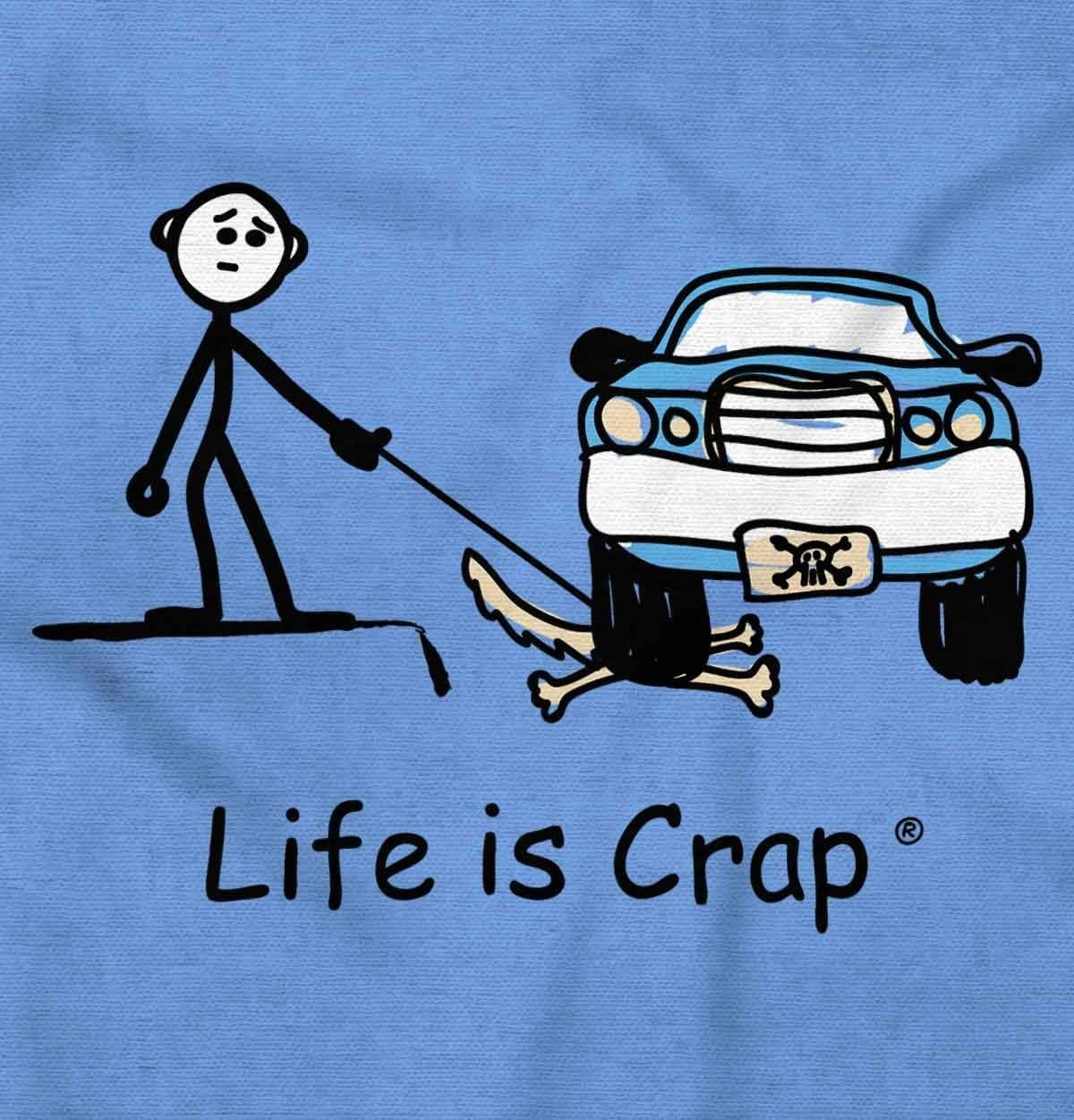 Brisco Brands Parked Car Dog Unlucky Sad Pet Owner Hoodie Sweatshirt Women Men