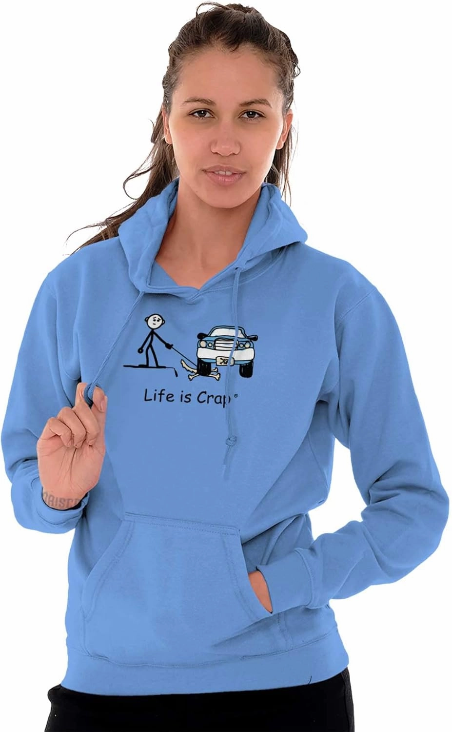 Brisco Brands Parked Car Dog Unlucky Sad Pet Owner Hoodie Sweatshirt Women Men