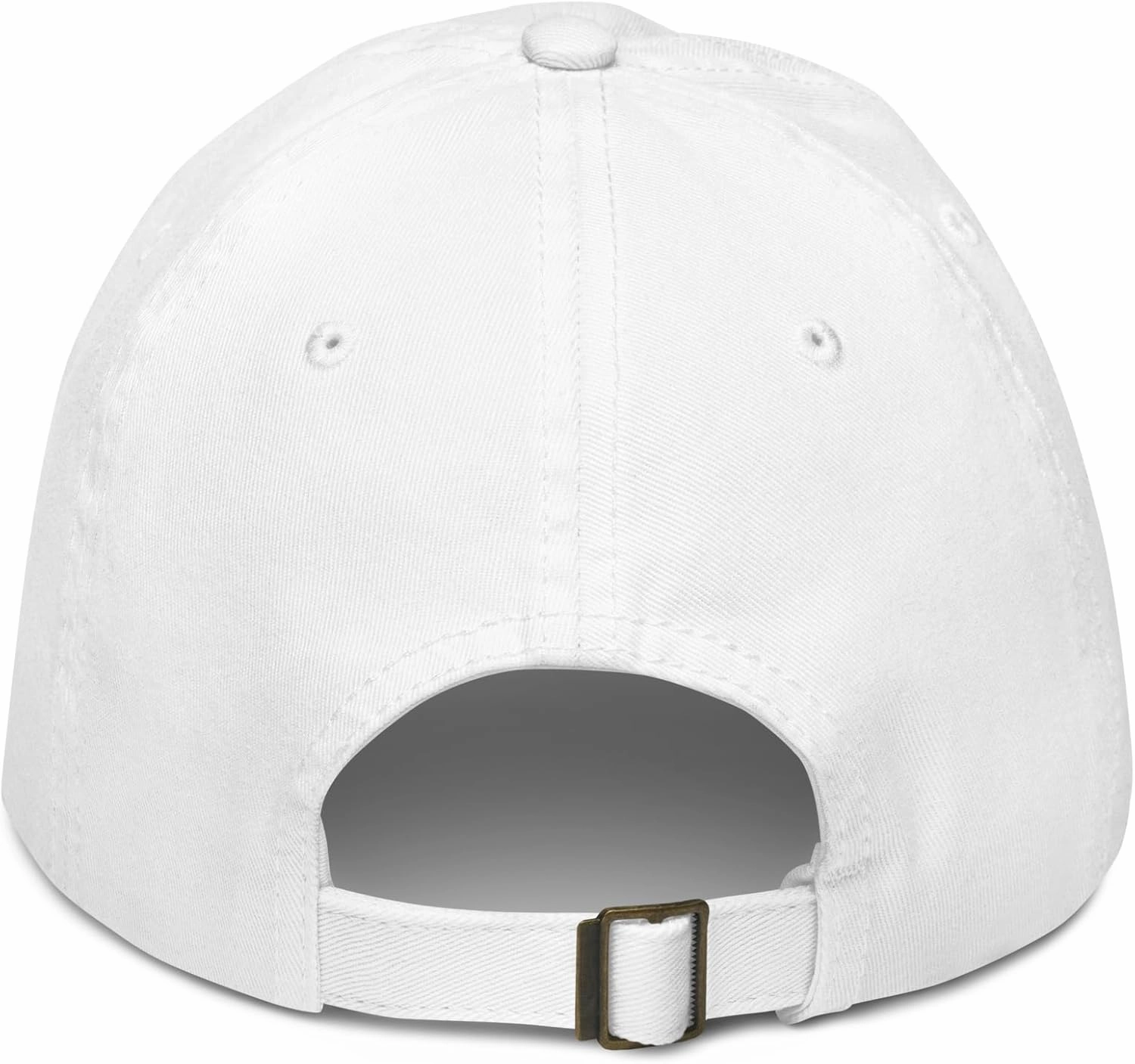 Franklin & Marshall Diplomats Title Officially Licensed Adjustable Baseball Hat