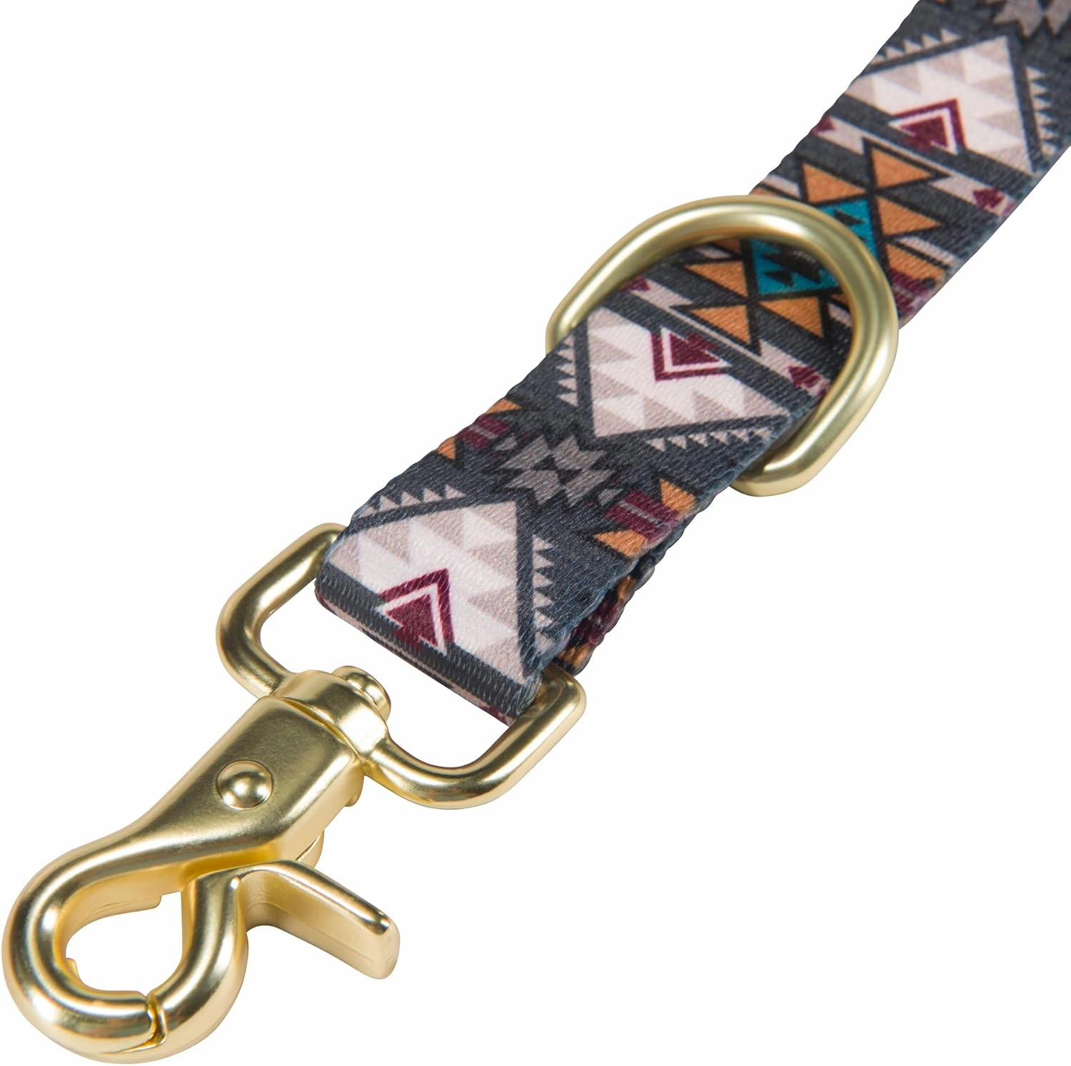 HOOEY Nomad Dog Leash, Durable Polyester Webbing Leash with Graphic-Inspired Prints, Beluga Monterey, 6'