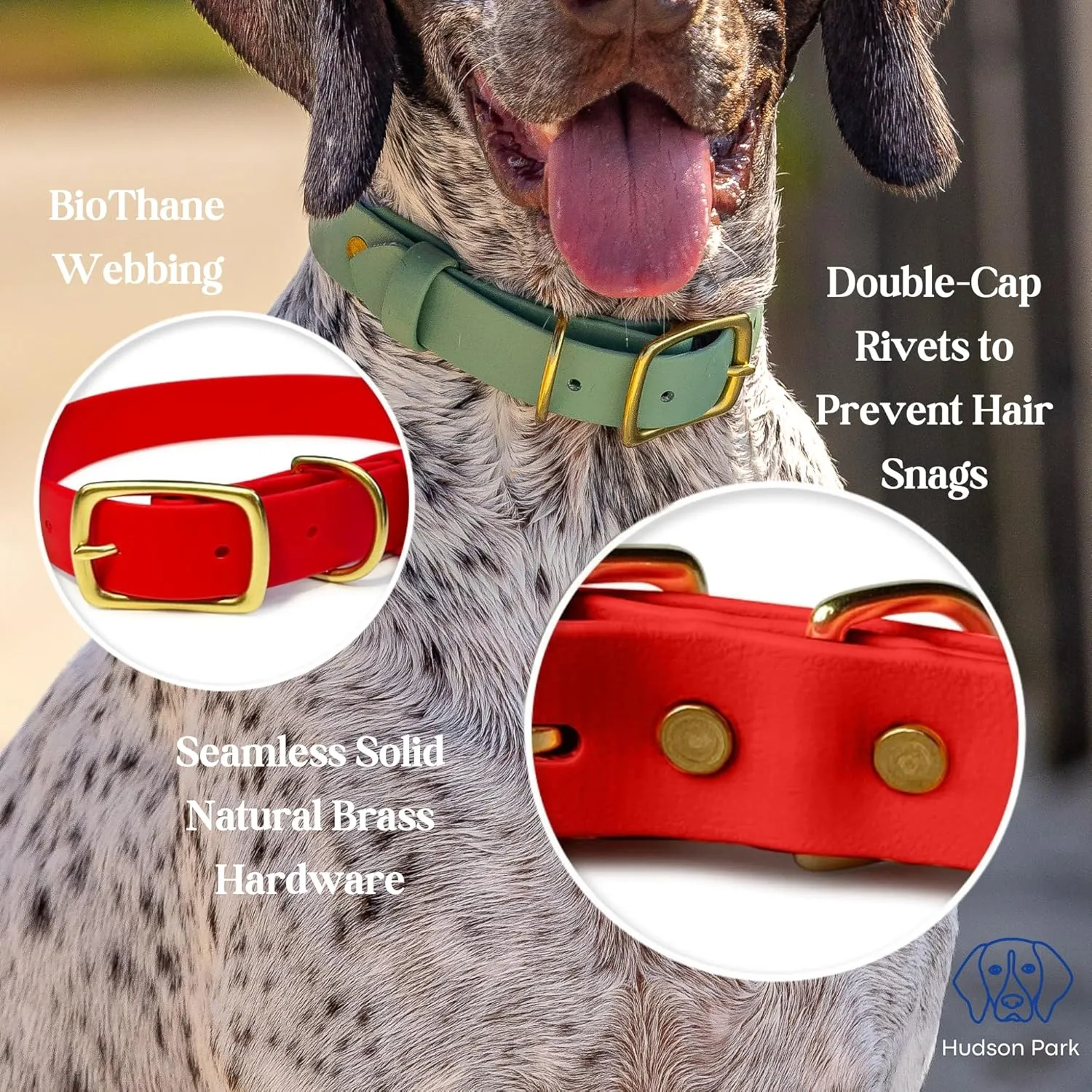 Hudson Park Dog Collar – Waterproof, BioThane Webbing, Leather-Like Feel, Adjustable, Easy-to-Clean, Odor-Resistant, Solid Brass, Multiple Colors and Sizes, Made in USA (Red, Medium)