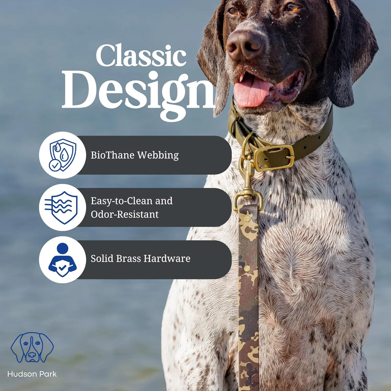 Hudson Park Dog Collar – Waterproof, BioThane Webbing, Leather-Like Feel, Adjustable, Easy-to-Clean, Odor-Resistant, Solid Brass, Multiple Colors and Sizes, Made in USA (Red, Medium)