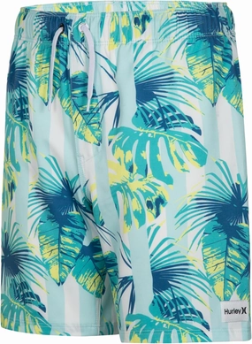 Hurley Boys' Cabana Stripe Pull on Swim Trunk (Little Kid)