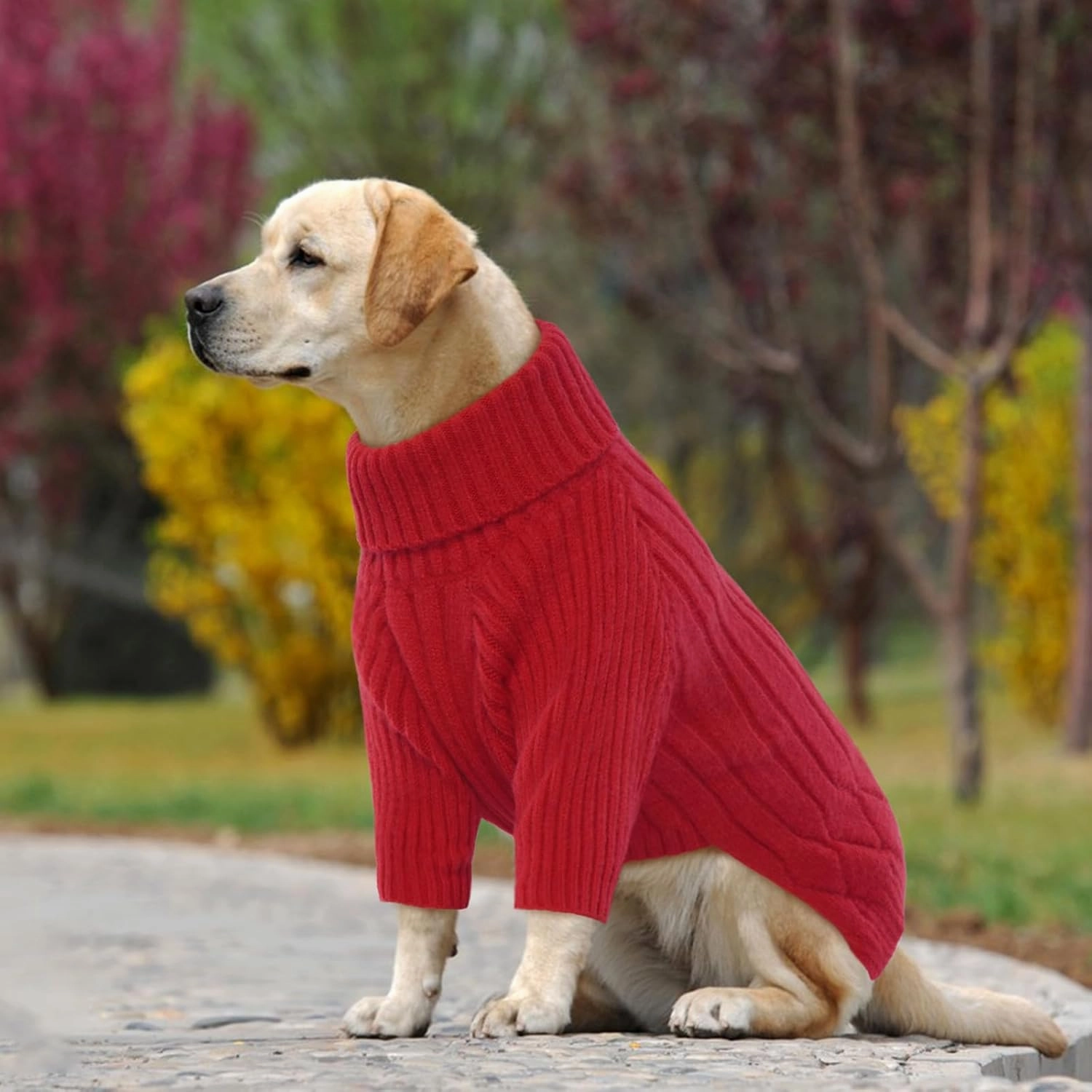 Large Breed Dog Sweaters, Warm Winter Fall Turtleneck Knitwear for Girls Boys, Christmas Sweater, Pet Sweatshirt Clothes Outfit for Great Dane, Doberman (Red XXXXL)