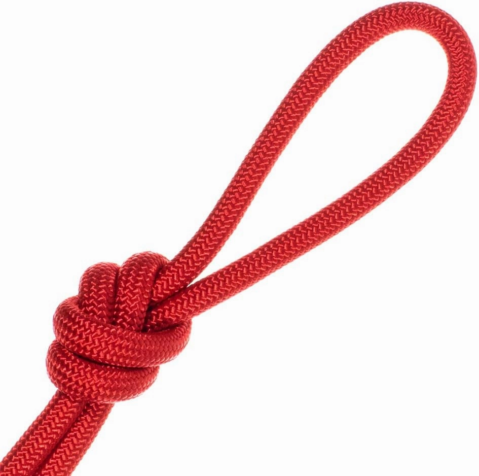 Nylon Accessory Cord 1/4 Inch (6 MM) and 5/16 Inch (8 MM) Paramax Nylon Cord - All-Purpose Utility - for Dog and Pet Collars, Belts, Gear Bundles, Tie-Downs, Horse Halters (50 Feet and 100 Feet)