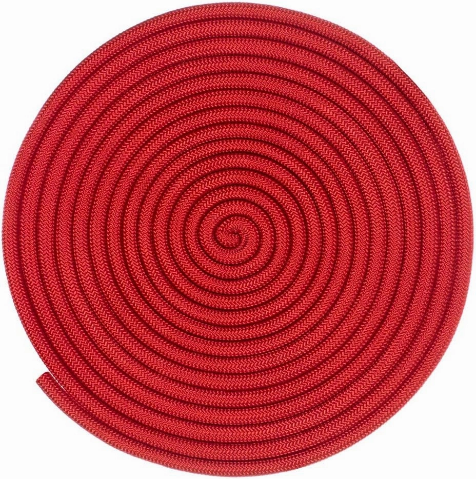 Nylon Accessory Cord 1/4 Inch (6 MM) and 5/16 Inch (8 MM) Paramax Nylon Cord - All-Purpose Utility - for Dog and Pet Collars, Belts, Gear Bundles, Tie-Downs, Horse Halters (50 Feet and 100 Feet)