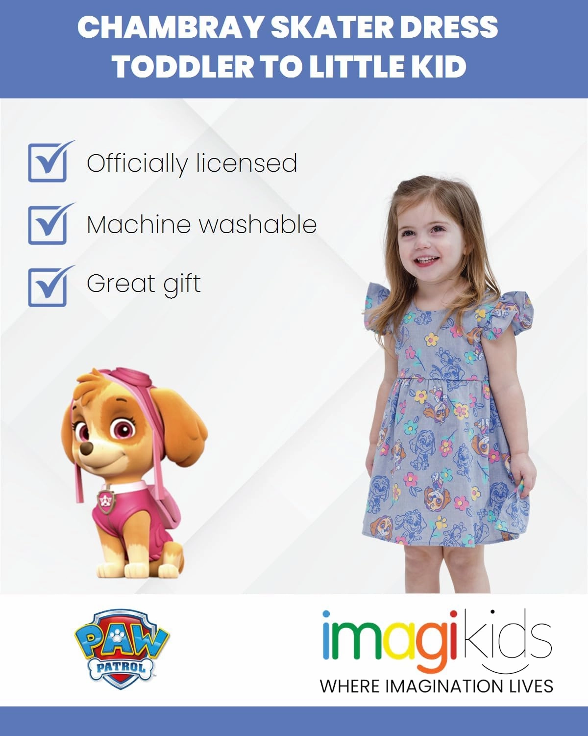Paw Patrol Skye Floral Girls Chambray Skater Dress Toddler to Little Kid