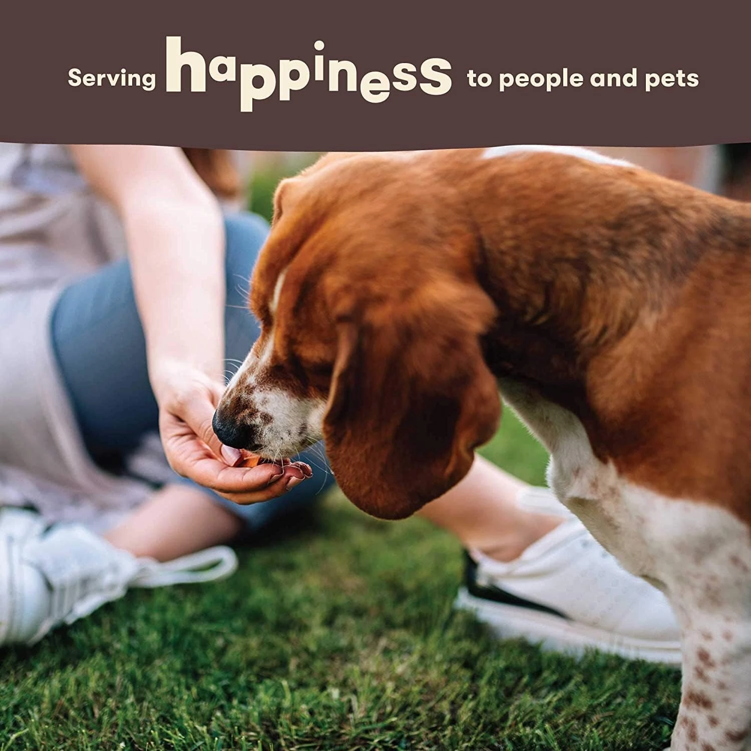Pet 'n Shape Sweet Potato Chews Jerky Dog Treats - 16 Ounce