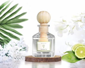 PRISTINE Himalayan Tea/Inspired by Westin Hotel Ball Diffuser for Wardrobe | Fresh Bergamot/White Tea Cabinet Air Freshener Diffusers, Mini Diffuser Decor | Air Freshener for Closets