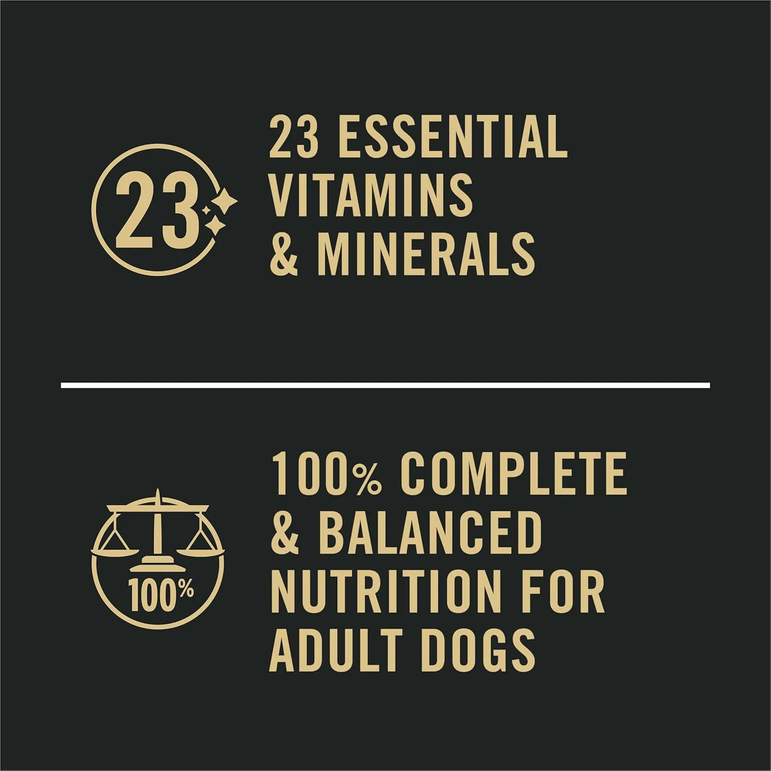 Purina Pro Plan Sensitive Skin and Stomach Dog Food Wet Classic Pate Salmon and Rice Entrée