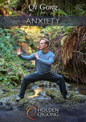 Qi Gong for Anxiety with Lee Holden (YMAA) 2025 Anxiety and Stress Relief Qigong Dvd