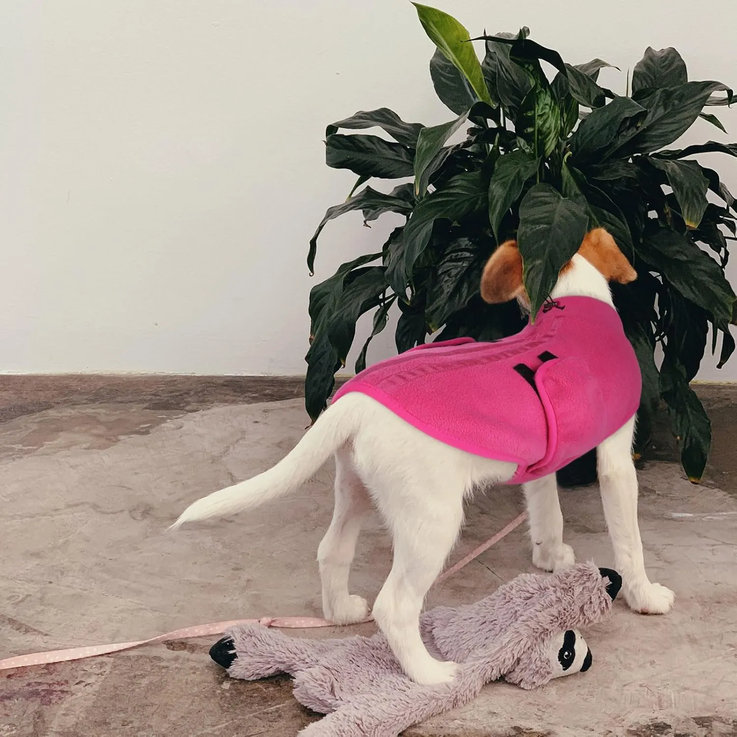 Queenmore XXS Dog Sweater, Soft Fleece Vest Pullover Dog Jacket with Leash Hole, Warm Winter Dog Clothes Cold Weather Doggy Dachshund Sweaters for Small Dogs Cats Boy or Girl (Pink, XXS)