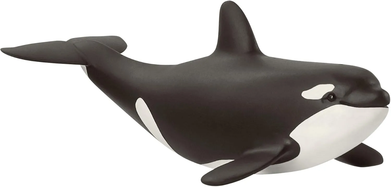 Schleich Wild Life, Ocean and Marine Life Toy Animals for Kids, Baby Orca Whale Toy Figurine, Ages 3 