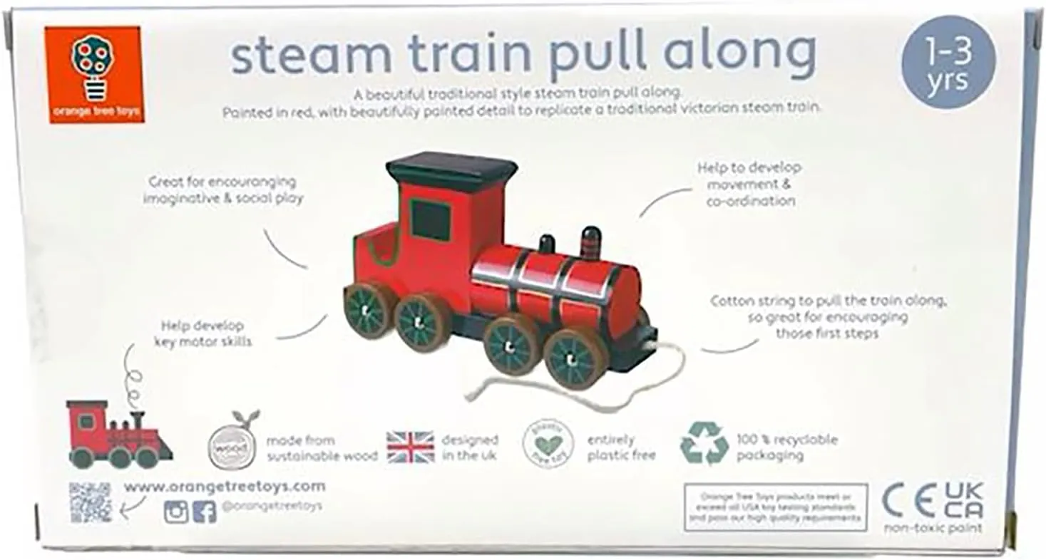 Steam Train Pull Along,