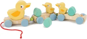 Tender Leaf Toys - Pull Along Ducks - Classic Wooden Pull Along Toy - 9pc Duck Family Set with 1 Mother Duck, 2 Baby Ducks, 3 Eggs and 3 Cars - Encourages Number Learning - 18Mths 