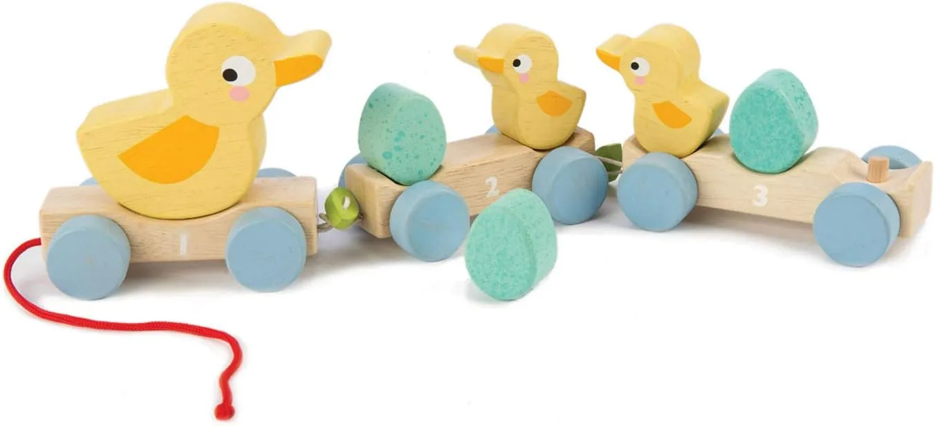 Tender Leaf Toys - Pull Along Ducks - Classic Wooden Pull Along Toy - 9pc Duck Family Set with 1 Mother Duck, 2 Baby Ducks, 3 Eggs and 3 Cars - Encourages Number Learning - 18Mths 