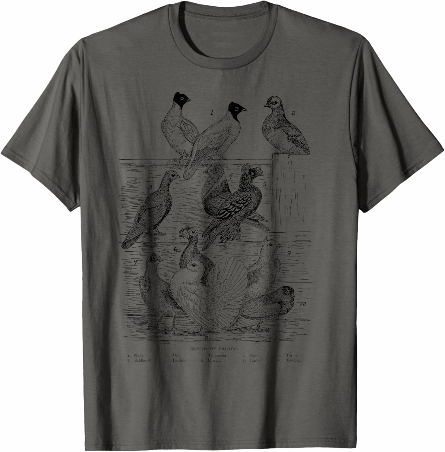 Vintage Breeds of Pigeons Gift for Pigeon Lovers T-Shirt